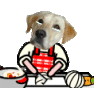 .gif / 9.3KB