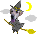 .gif / 15.8KB