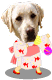 .gif / 3.4KB