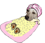 �N���b�N�Ŋg��\�� ( .gif / 18.2KB )
