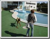 �N���b�N�Ŋg��\�� ( JPEG / 63.9KB / 700�~525 )